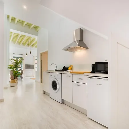 Duplex With Terrace- 2bd 2bth- Arenal * Seville