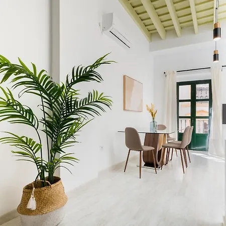 Duplex With Terrace- 2bd 2bth- Arenal