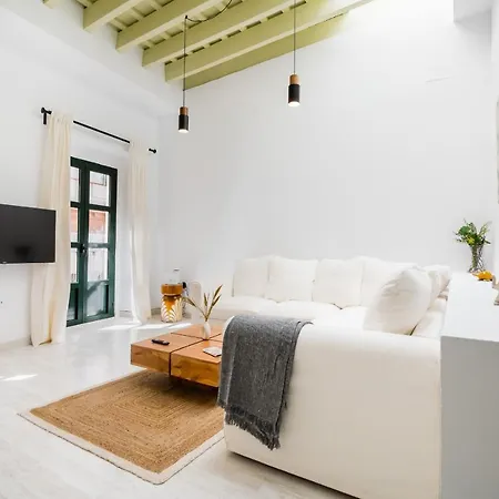 Apartment Duplex With Terrace- 2bd 2bth- Arenal Seville