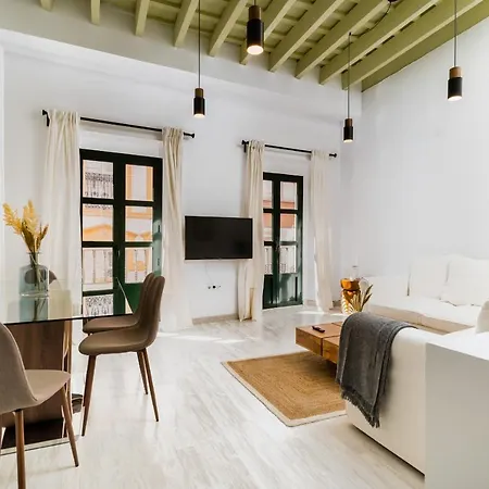 Duplex With Terrace- 2bd 2bth- Arenal Apartment Seville