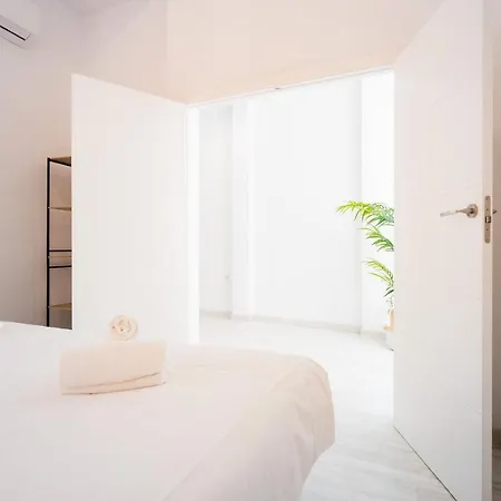 Apartment Duplex With Terrace- 2bd 2bth- Arenal Seville